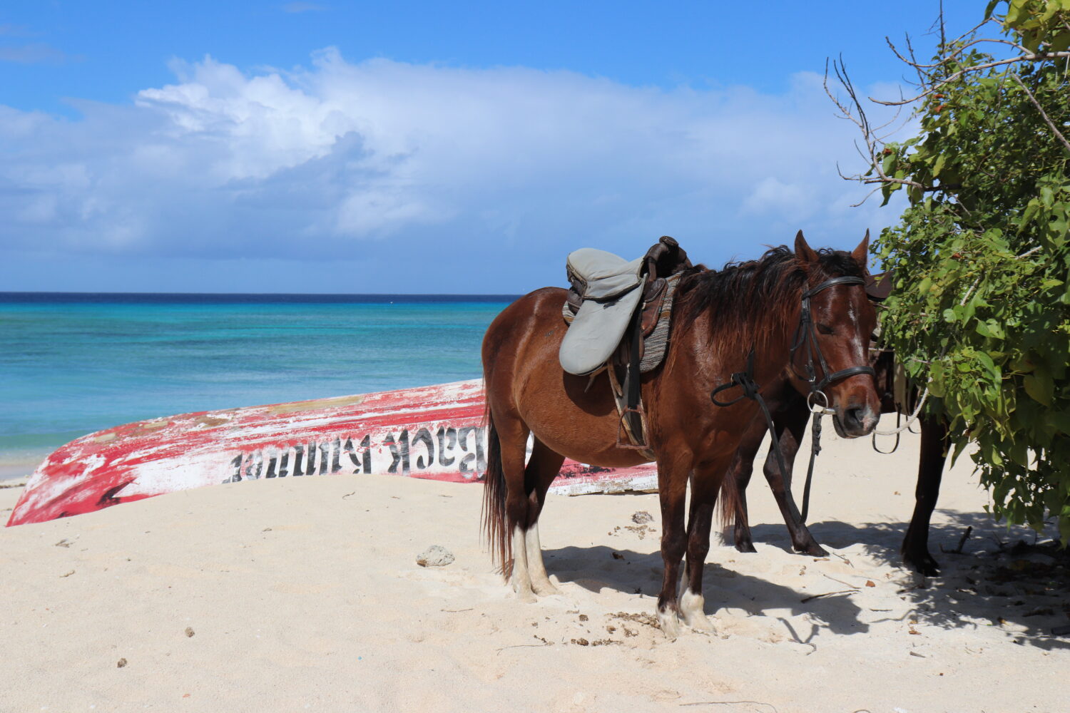 The 24-Hour Guide To Grand Turk - Caffeinated Excursions