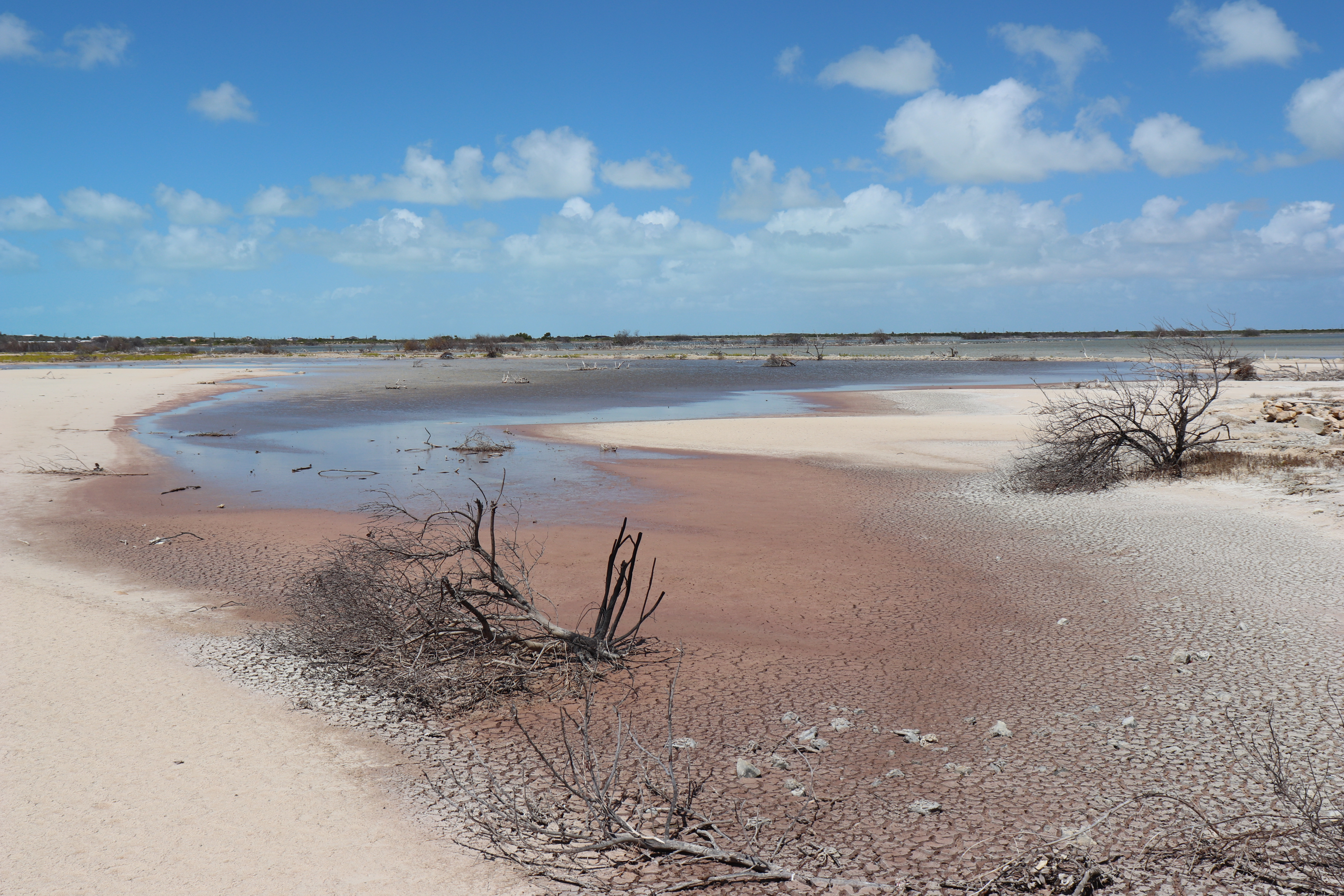 Why I Had Mixed Feelings About South Caicos - Caffeinated Excursions