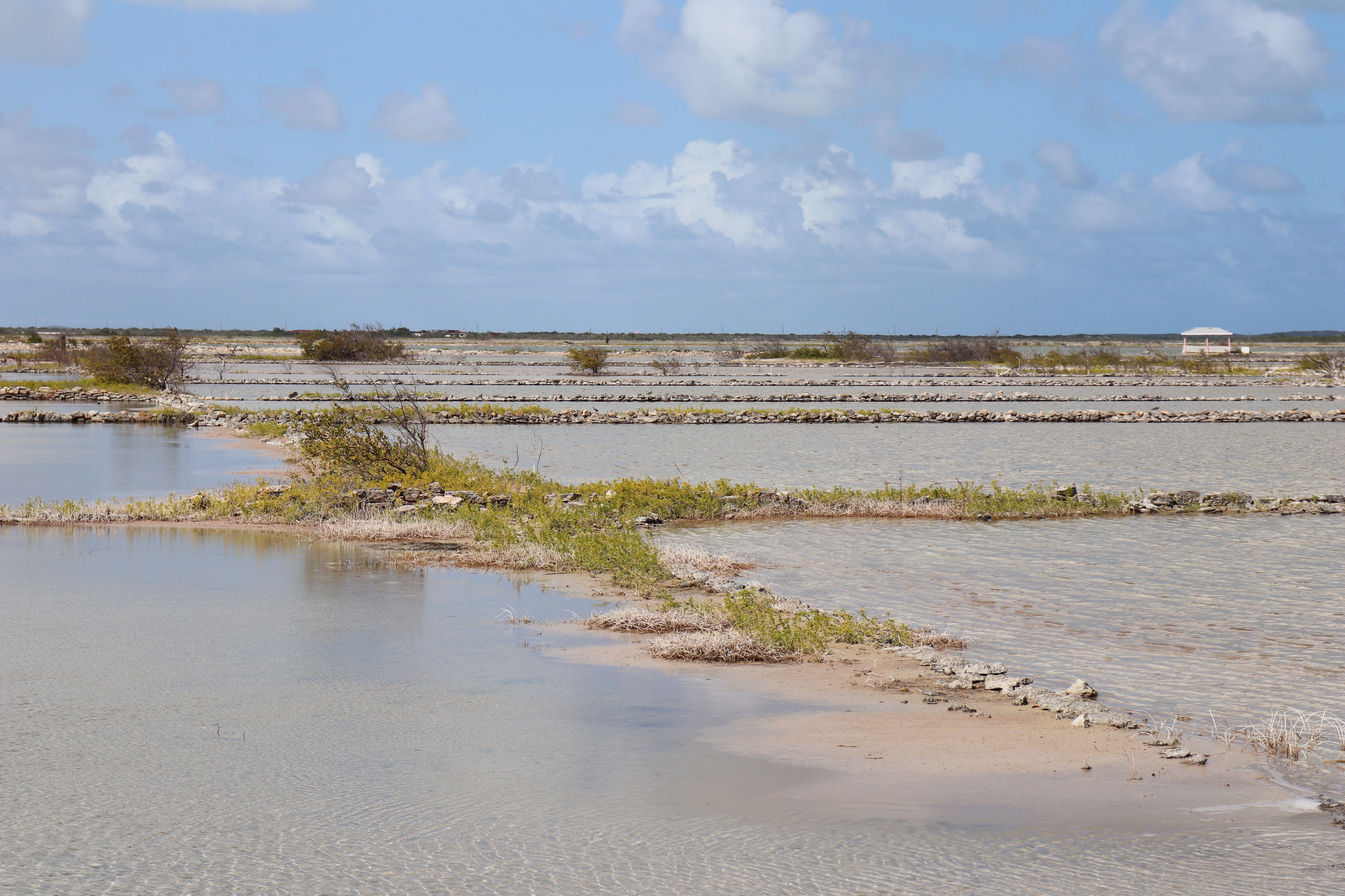 Why I Had Mixed Feelings About South Caicos - Caffeinated Excursions