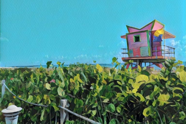 Read more about the article A First-Timer’s Guide To Miami And The Florida Keys