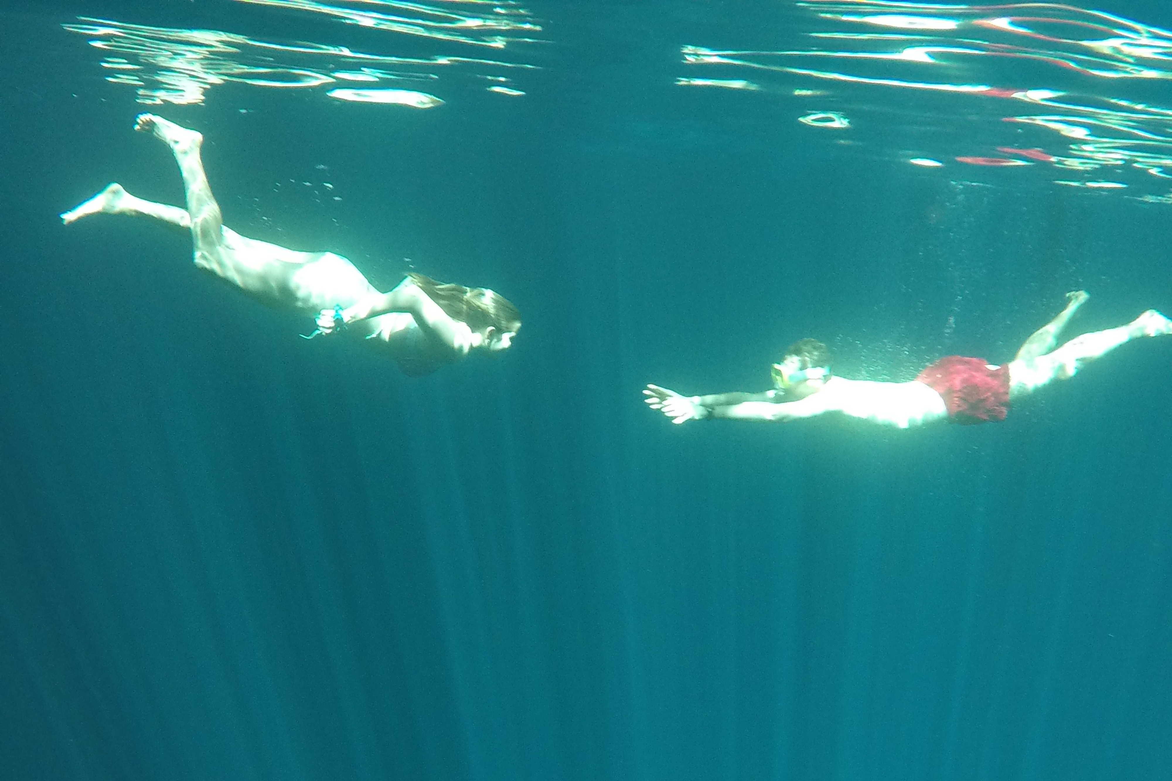 Read more about the article Stunning Cenotes and Underwhelming Cuisine: The Real Deal on Mérida
