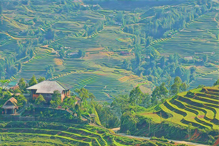 Read more about the article Sa Pa: Incredible Rice Terraces (And a Peek Into The World Of Backpacking)
