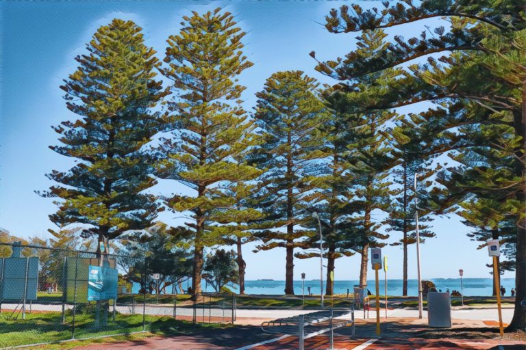 Read more about the article How To Visit Perth, Western Australia Without A Car