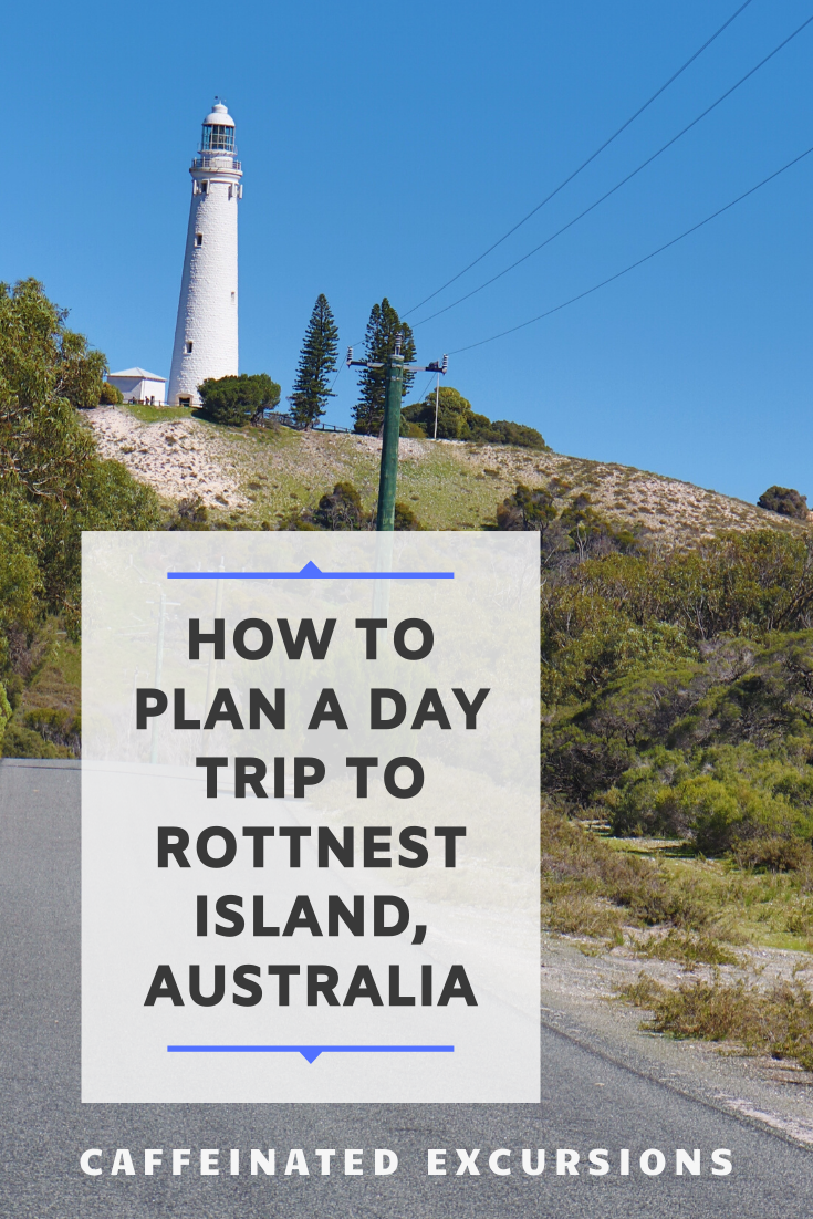 See how to visit this stunning island in just a day from Perth or Fremantle! #rottnest #rottnestisland #visitrottnest #westernaustralia #australia #perth #fremantle #quokka #amazingbeaches #travelguide #travelblog #travelblogs #travelblogger #travelbloggers