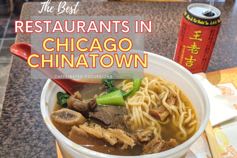 Read more about the article Restaurants in Chicago Chinatown: Dim Sum, Dumplings, Noodles, And More