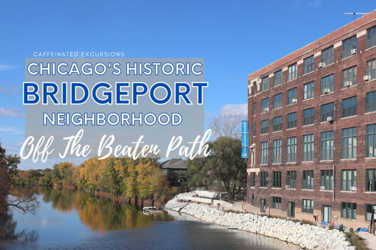 Read more about the article Bridgeport, Chicago: A Neighborhood Guide