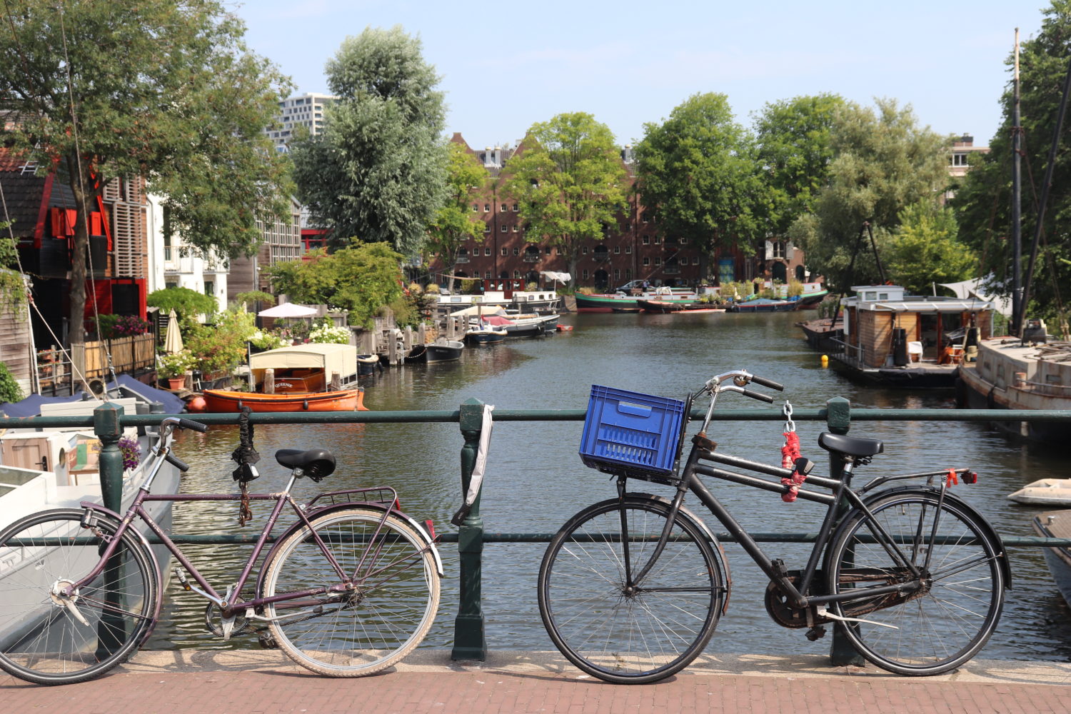 amsterdam travel review