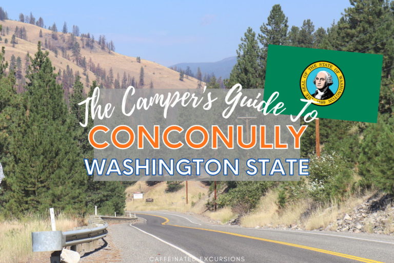 Read more about the article The Camper’s Guide To Conconully State Park, WA