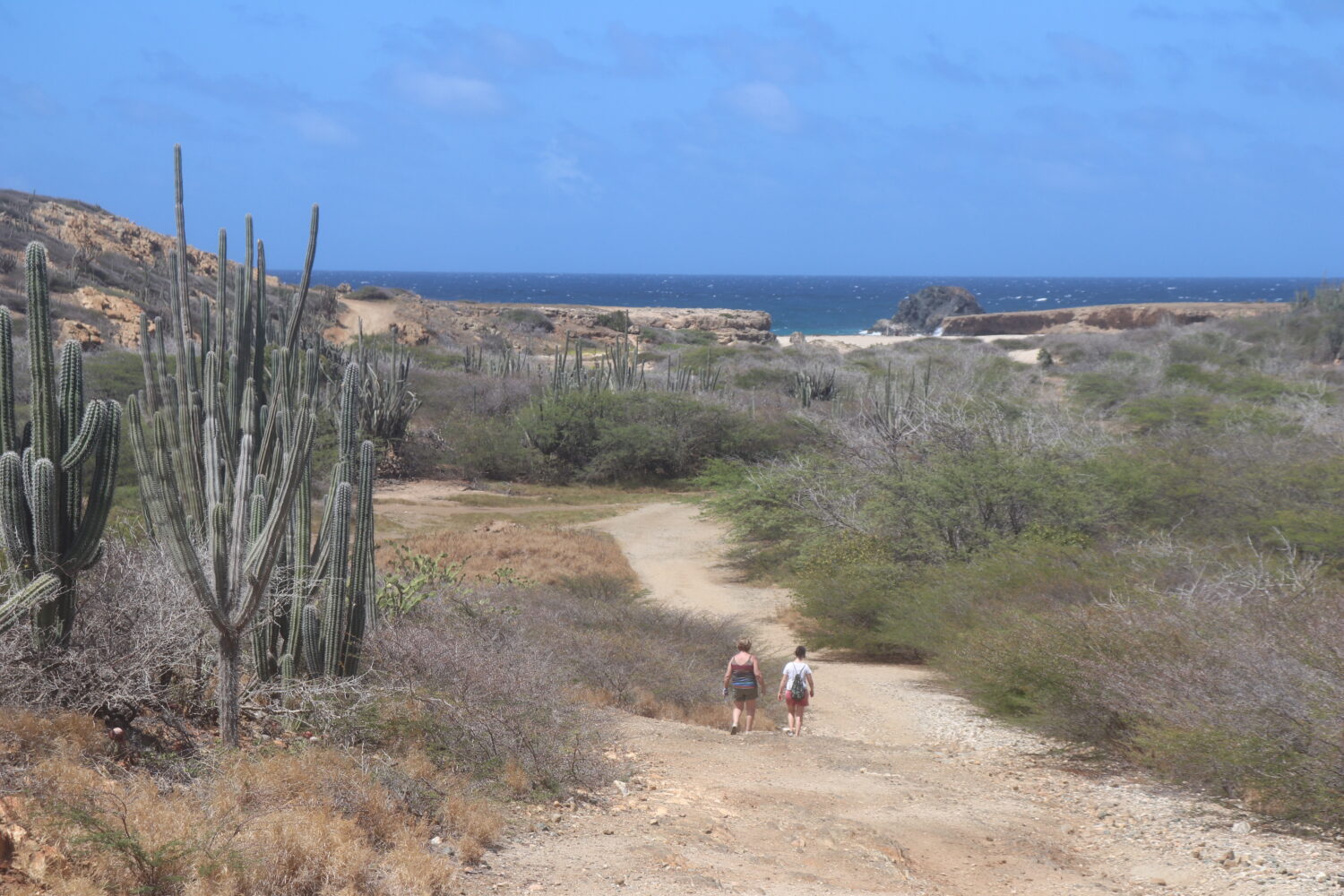 aruba self guided utv tour